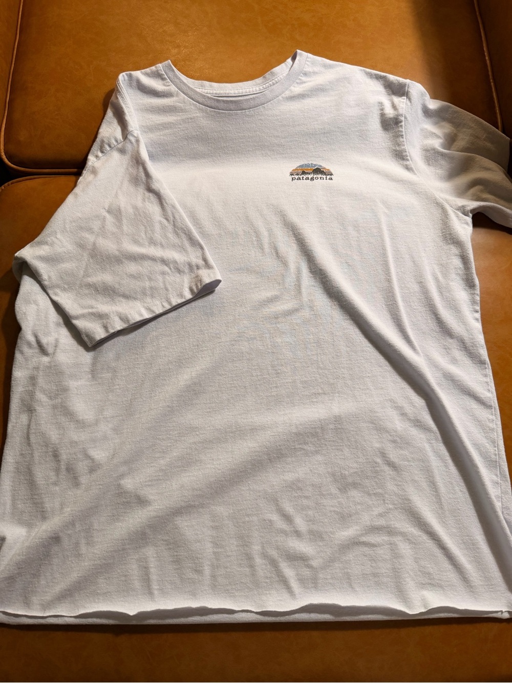Patagonia White/Light Blue Short-Sleeve Tee with Small Multicolor Logo